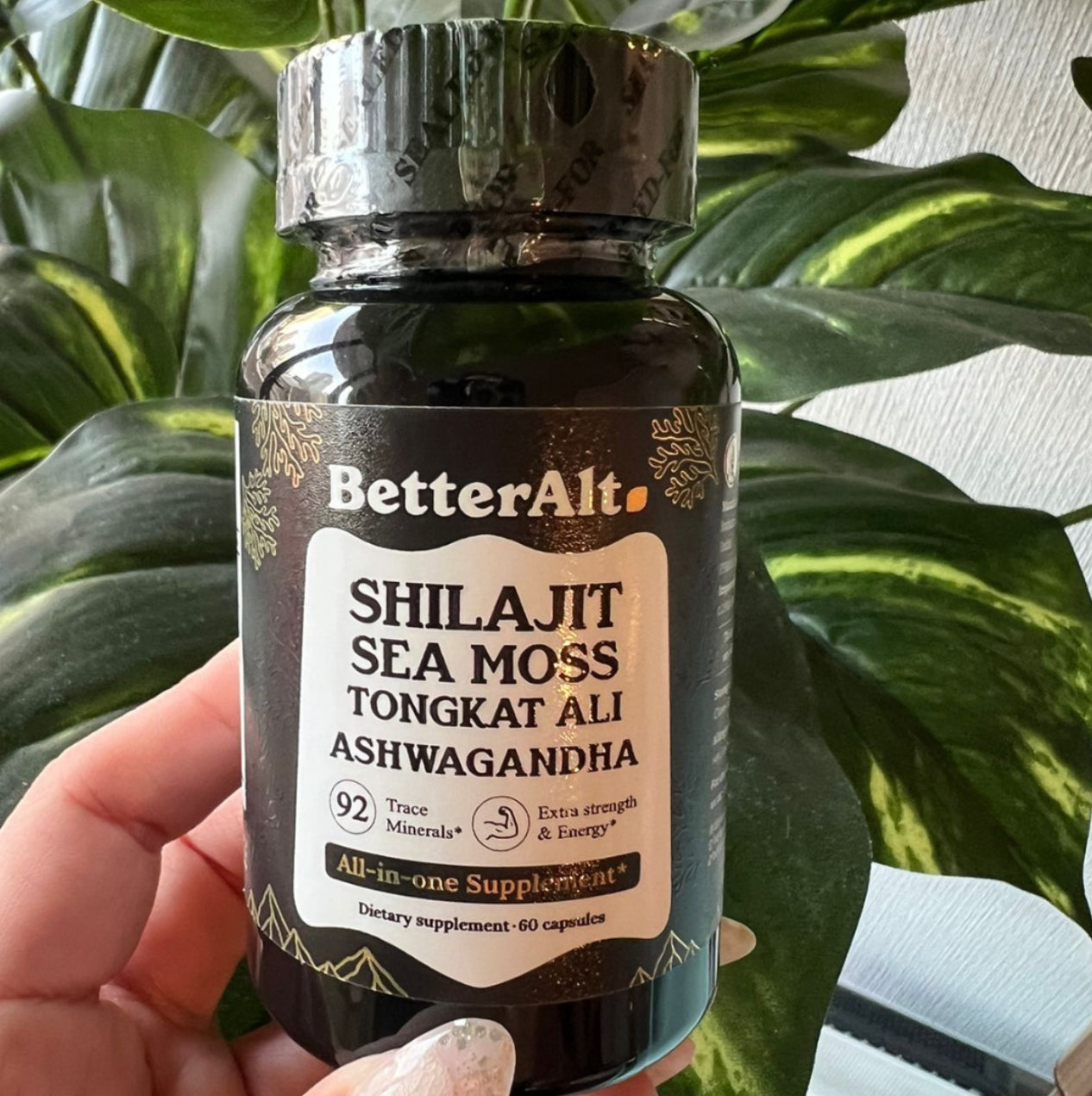 Shilajit BetterAlt (120 capsulas)